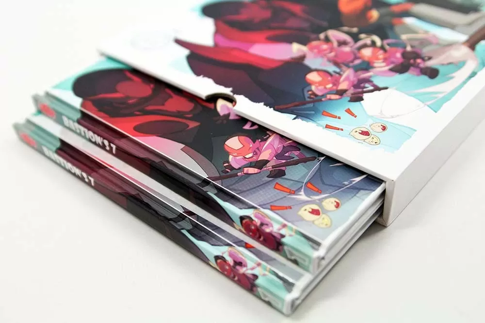 Two Book Custom Slipcase Opened
