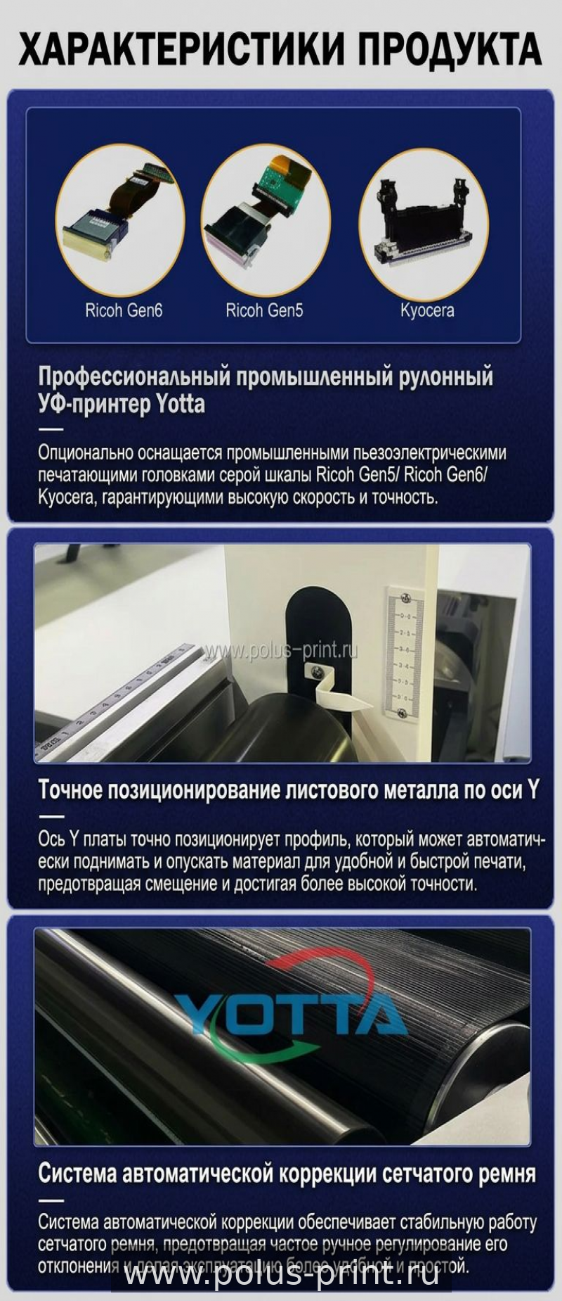 Белый и лак для премиальной продукции